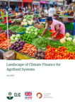 Landscape of Climate Finance for Agrifood Systems