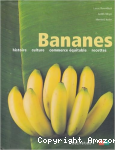 Bananes : histoire, culture, commerce équitable, recettes vignette