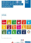 Objectifs de développement durable vignette