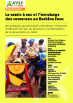 Le semis à sec et l’enrobage des semences au Burkina Faso vignette