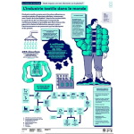 Le revers de mon look : Quels impacts ont mes vêtements sur la planète ? vignette