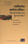 Cultures entre elles : dynamique ou dynamite ? vignette