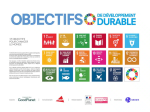 Les objectifs de développement durable vignette