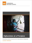 Afghanistan at a Precipice vignette