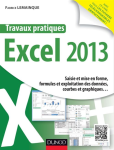 Excel 2013 : Travaux pratiques vignette