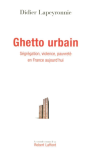 Ghetto urbain : Ségrégation, violence, pauvreté en France aujourd'hui vignette