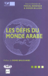 Les défis du monde arabe
