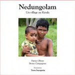 Nedungolam : Un village au Kerala vignette