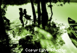 vignette